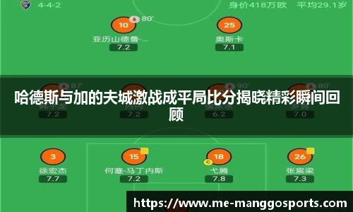 哈德斯与加的夫城激战成平局比分揭晓精彩瞬间回顾