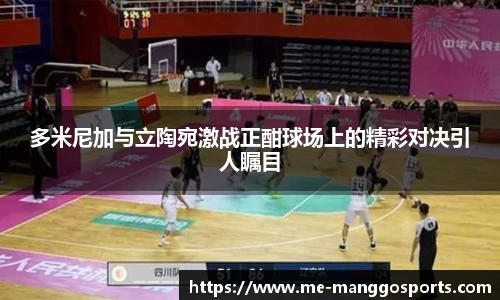 多米尼加与立陶宛激战正酣球场上的精彩对决引人瞩目