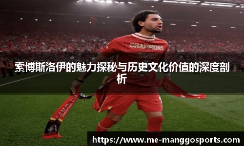 索博斯洛伊的魅力探秘与历史文化价值的深度剖析